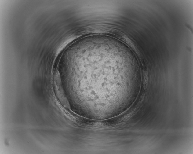 X0000099410787200805231603