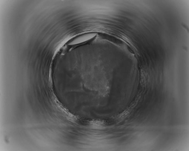 X0000099410788200805231603