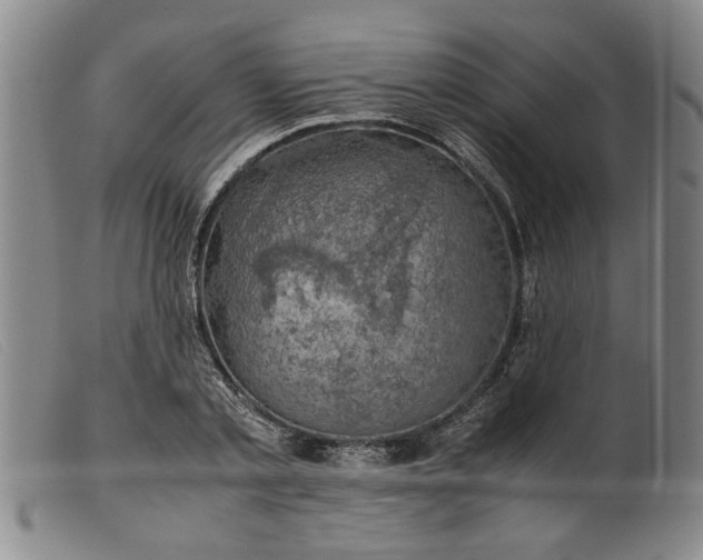 X0000099410789200805231603