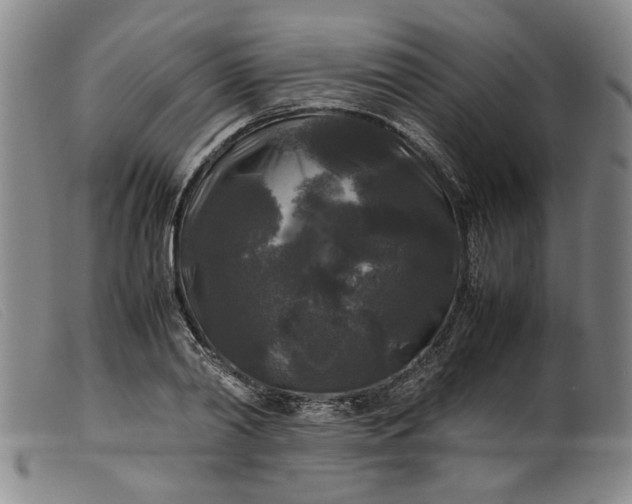 X0000099410790200805231603