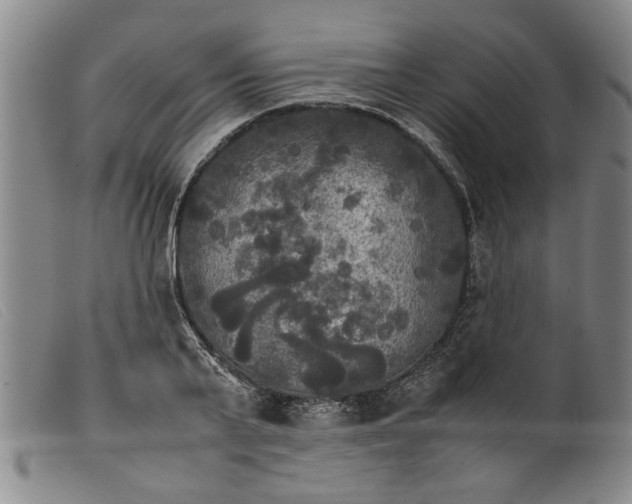 X0000099410791200805231603