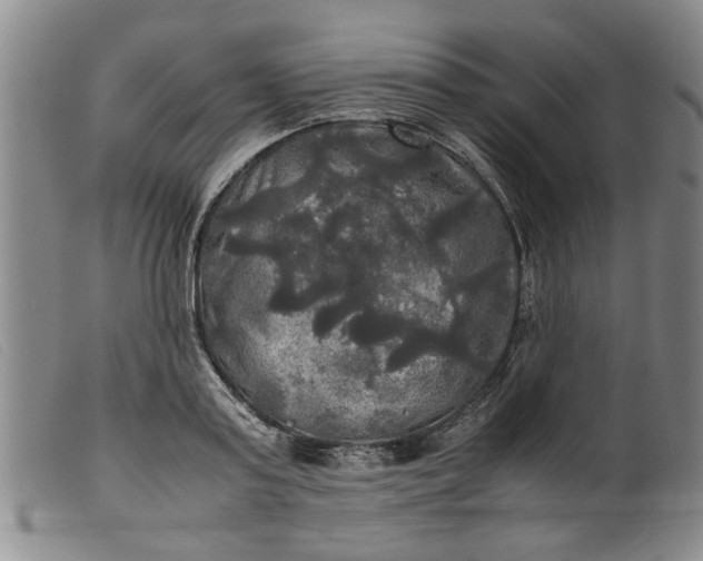 X0000099410795200805231603