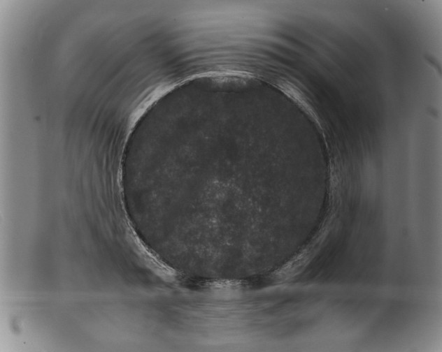 X0000099410797200805231603