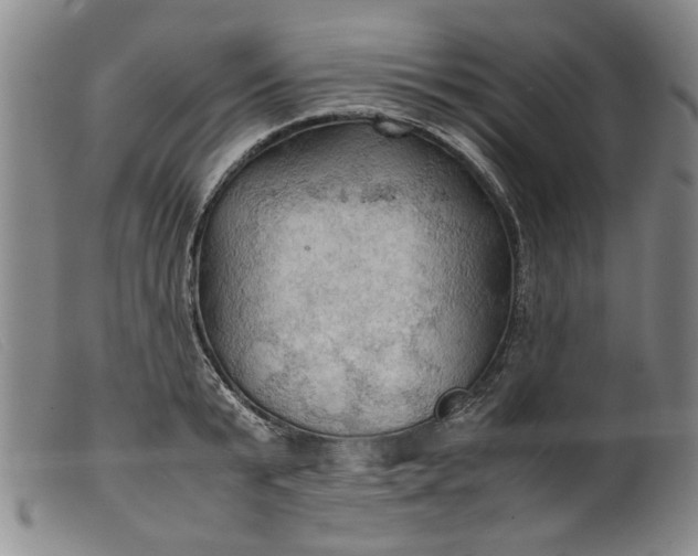 X0000099410799200805231603