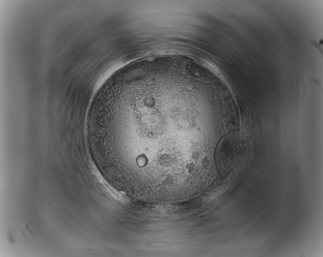 X0000099410803200805231603