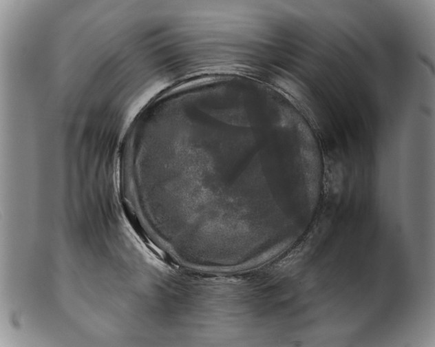 X0000099410804200805231603