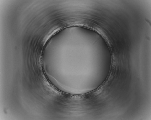 X0000099410806200805231603