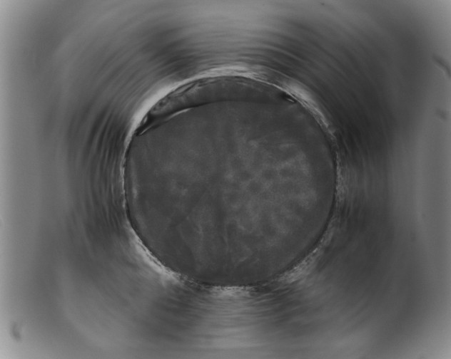 X0000099410808200805231603