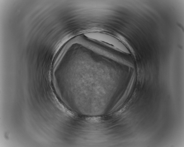 X0000099410810200805231603