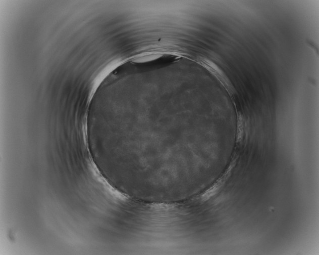 X0000099410812200805231603