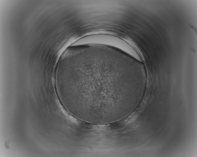 X0000099410813200805231603