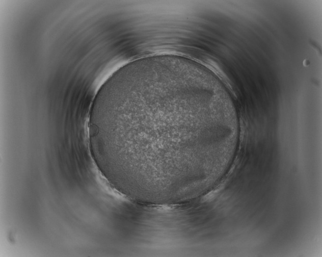 X0000099410814200805231603