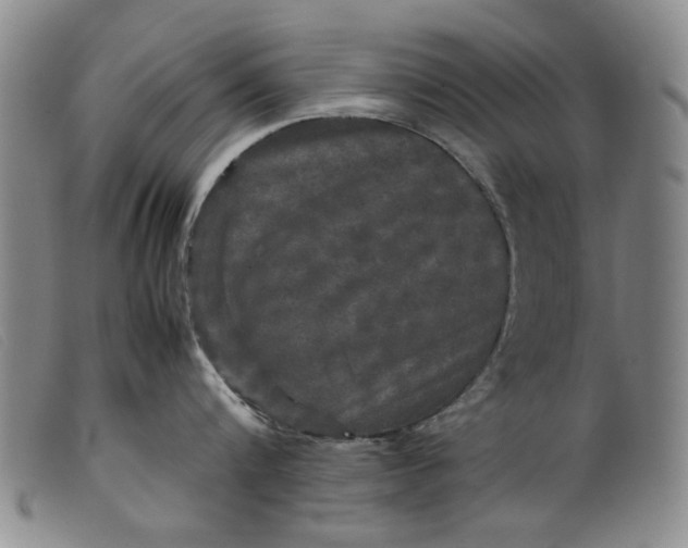 X0000099410816200805231603