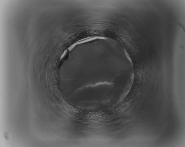 X0000099410817200805231602