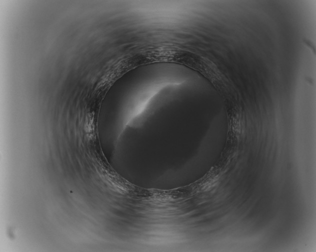 X0000099410818200805231602