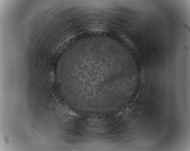 X0000099410821200805231602