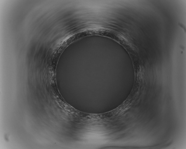 X0000099410822200805231602