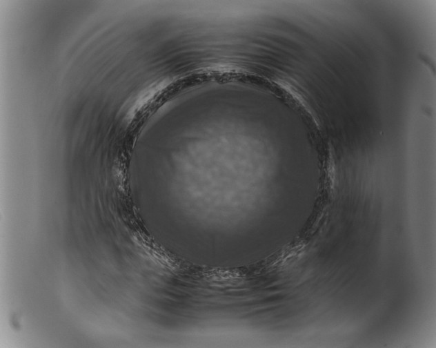 X0000099410823200805231602