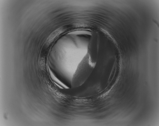 X0000099410825200805231602