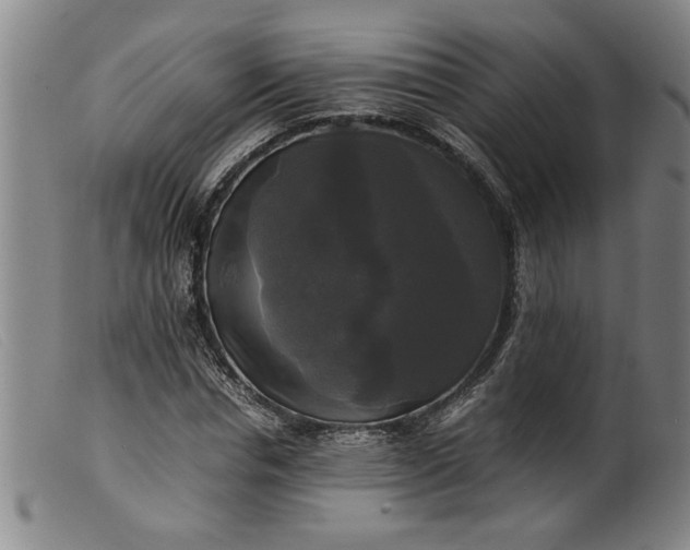 X0000099410826200805231602