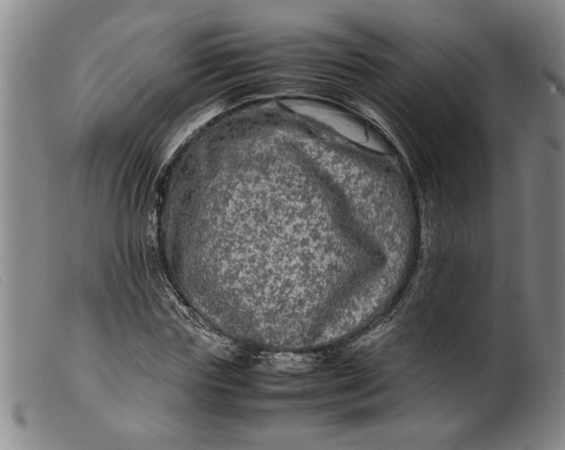 X0000099410827200805231602