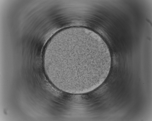 X0000099410828200805231602