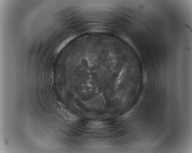 X0000099410829200805231602