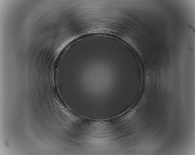 X0000099410830200805231602