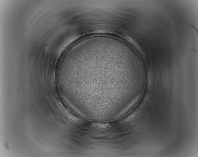 X0000099410831200805231602