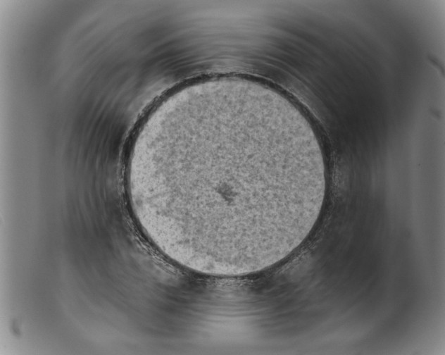 X0000099410832200805231602