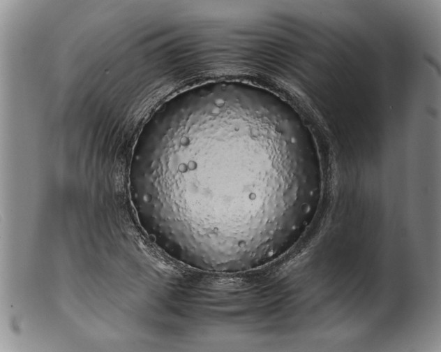 X0000099410833200805231602