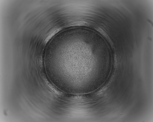 X0000099410834200805231602