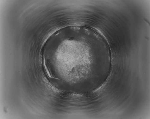 X0000099410835200805231602