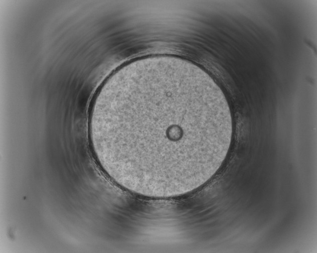 X0000099410836200805231602