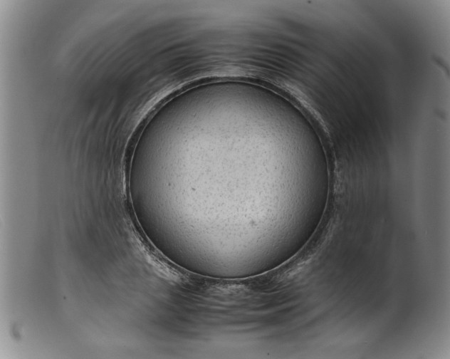 X0000099410837200805231602