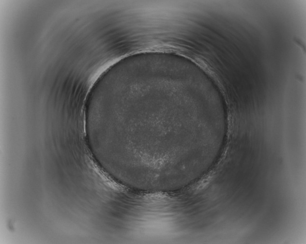 X0000099410838200805231602