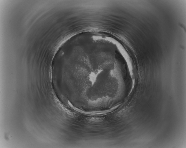 X0000099410839200805231602