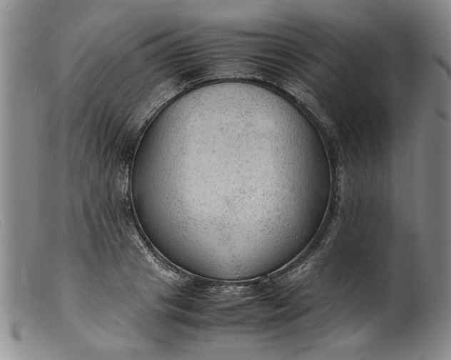 X0000099410841200805231602