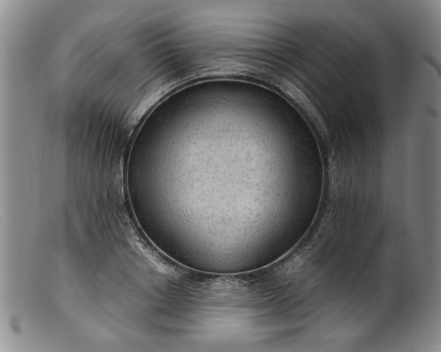 X0000099410842200805231602