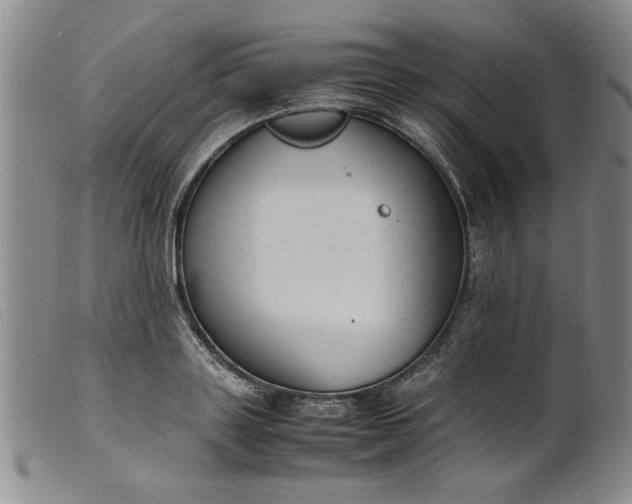 X0000099410843200805231602