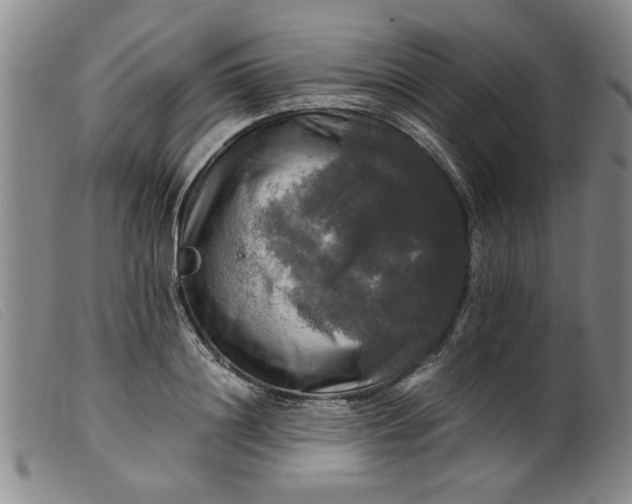 X0000099410844200805231602