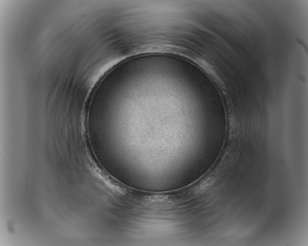 X0000099410846200805231602