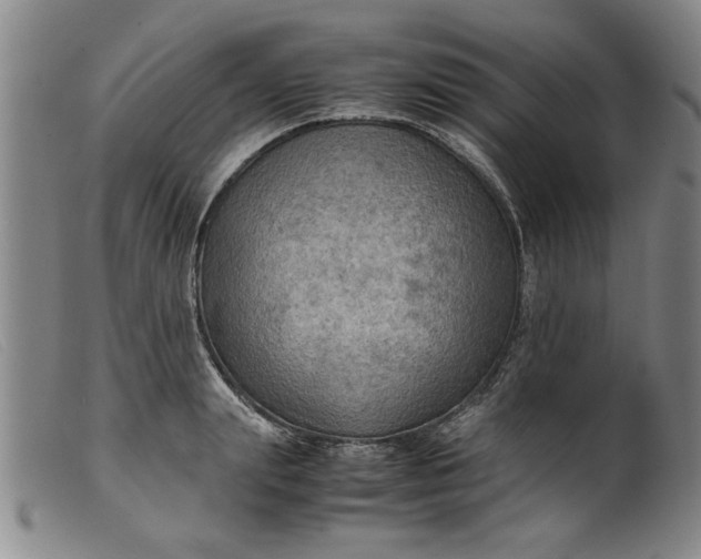 X0000099410847200805231602