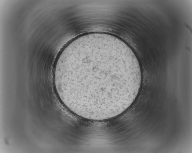 X0000099410848200805231602