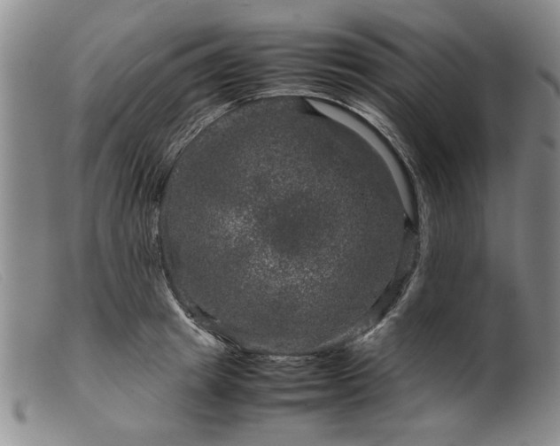 X0000099410849200805231602