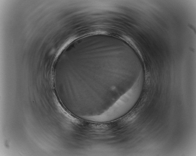 X0000099410851200805231602