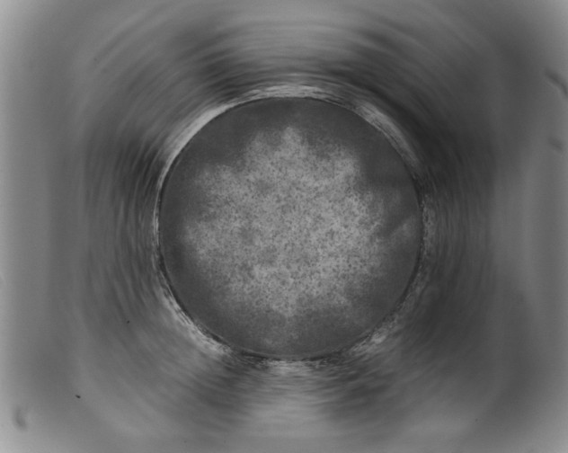 X0000099410852200805231602