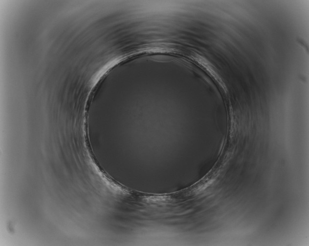 X0000099410853200805231602