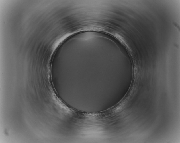 X0000099410854200805231602