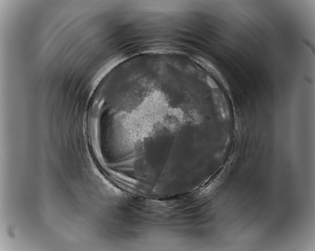 X0000099410855200805231602